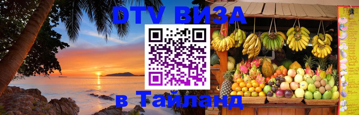 Оформление DTV визы под ключ: стоимость и тарифы, только загранпаспорт - Бердск 