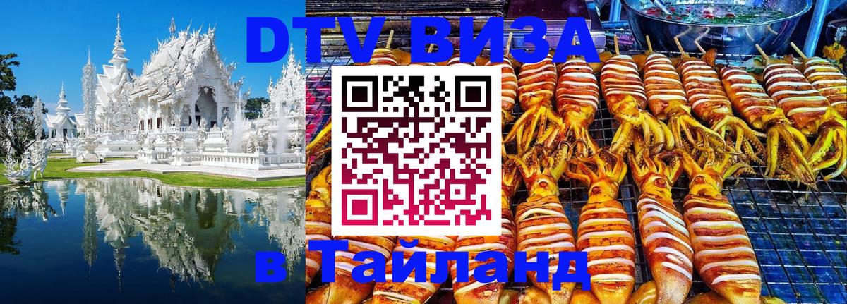Оформить DTV визу в Тайланд Бердск 
